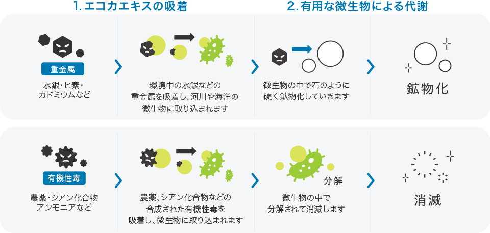 5つの特長成分 | TIENS JAPAN